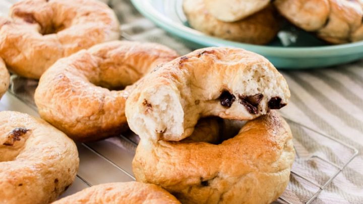 chocolate chip bagel