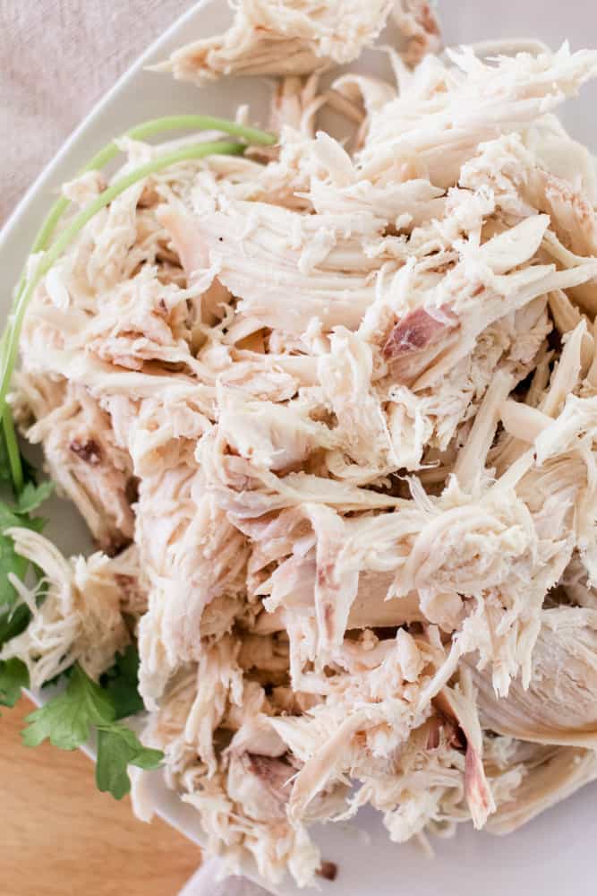 Tender shredded chicken with a sprig of parsley on a white place, ready for your favorite recipe.