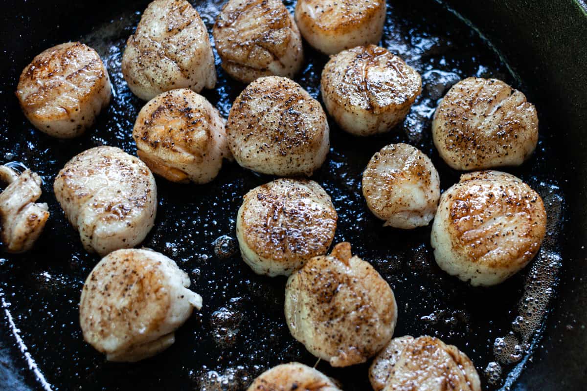 After being boiled, scallops are searing on a cast iron skillet. 