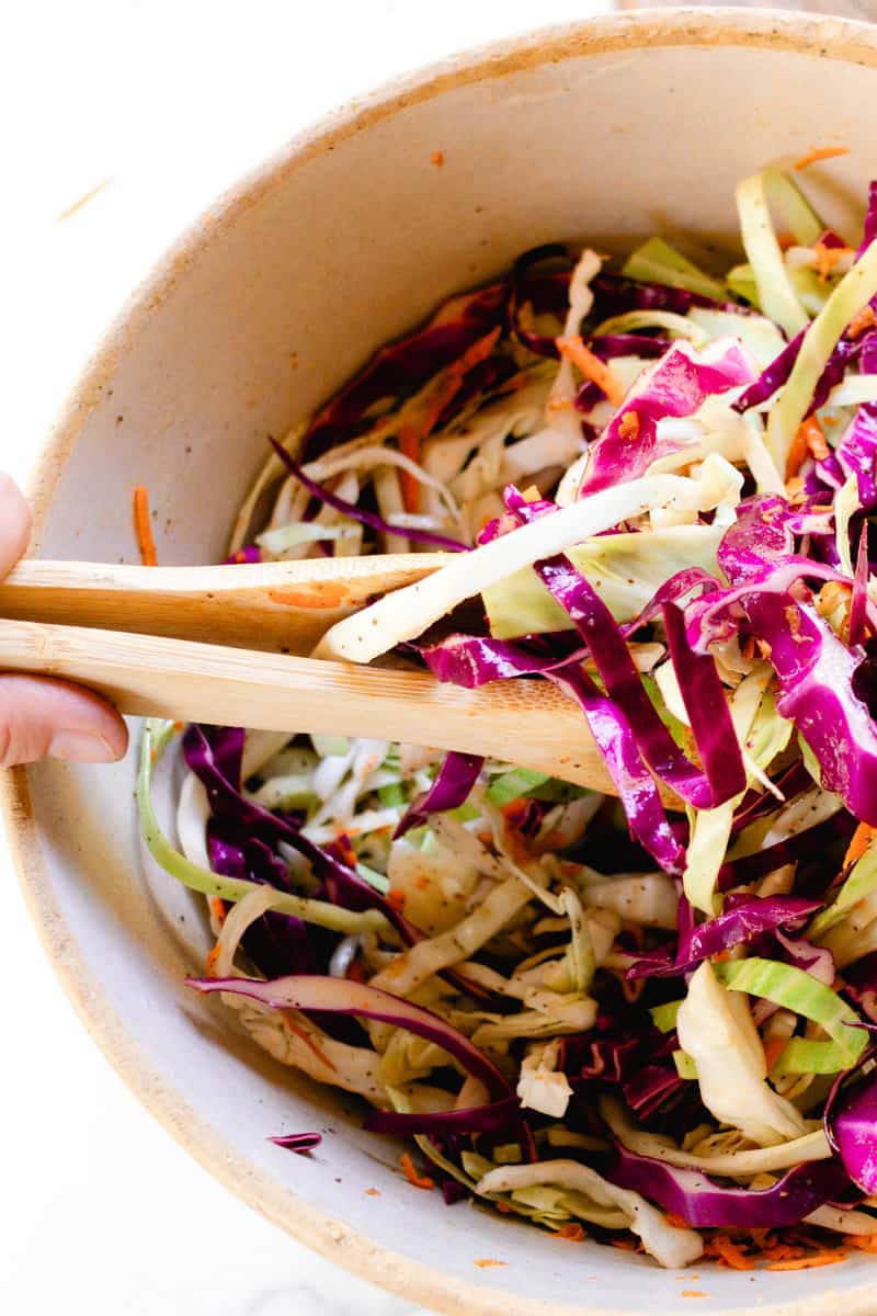 The best vinegar coleslaw recipe with red and green cabbage