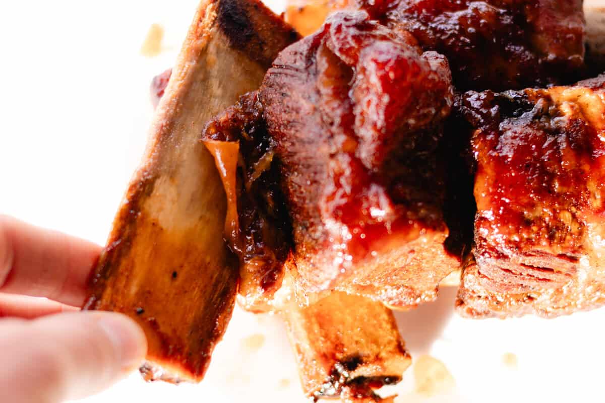 Holding a beef short rib that is coated with bbq sauce.