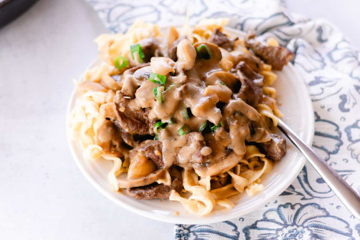 Elk stroganoff on a serving plate with egg noodles. 