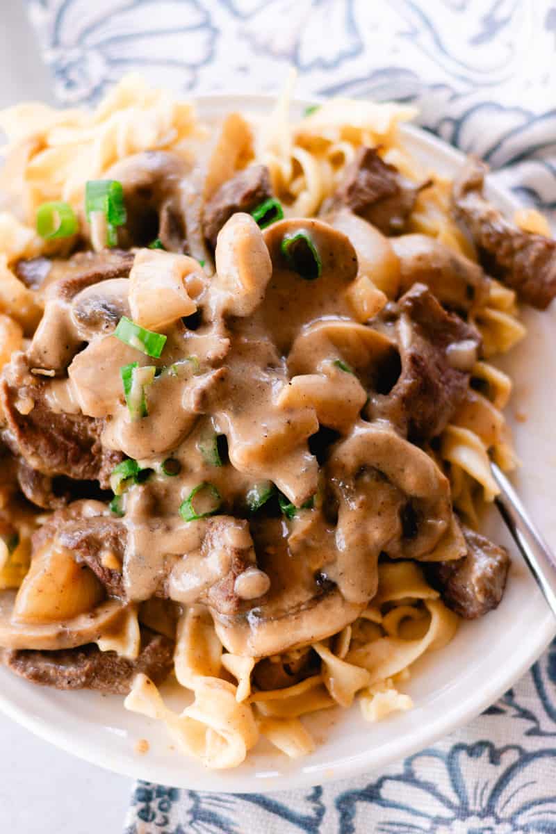 Elk steak stroganoff with a creamy sauce over egg noodles on a white plate.