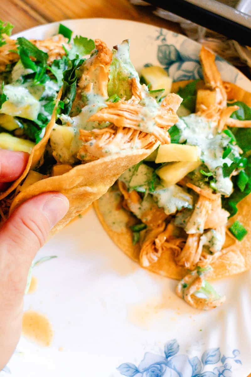 Holding a buffalo hawaiian taco over a flower plate.