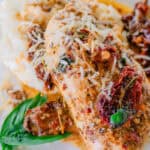 Creamy chicken on a white plate.