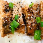 Thin sliced honey garlic chicken on top of rice with everything bagel seasoning and sliced green onions.