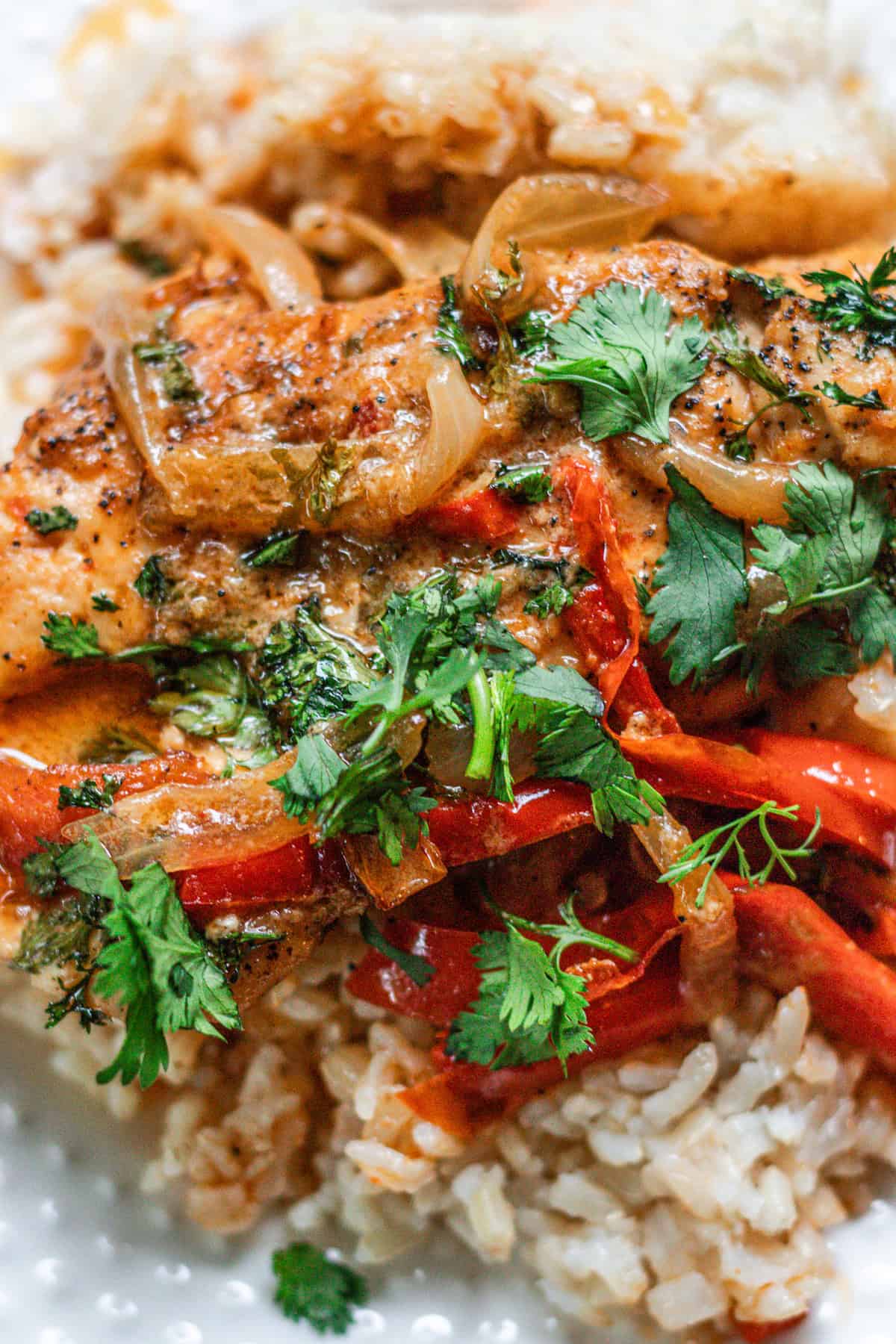 Chicken curry with sauce and fresh cilantro toped on it.