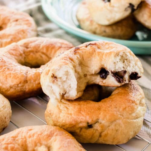 Chocolate chip bagels on a cooling rack.
