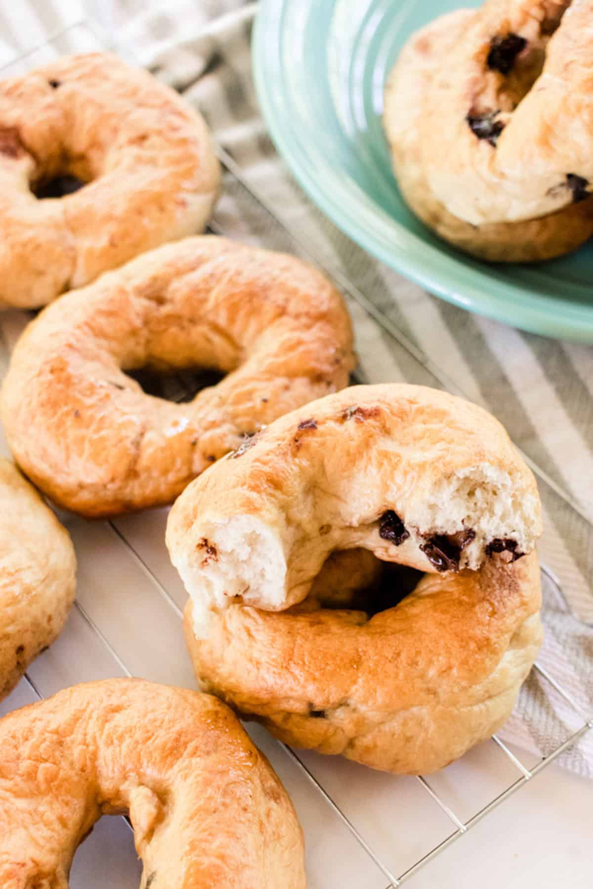 Chocolate chip bagels stacked on a wire rack, with one of them bitten out of.