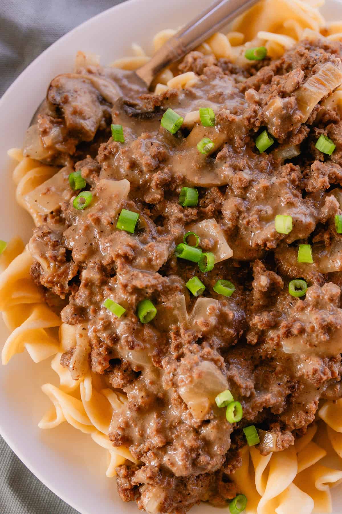 Ground venison stroganoff on a plate with green onion garnishing on top.