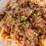 Ground venison stroganoff on top of egg noodles and garnished with green onions.
