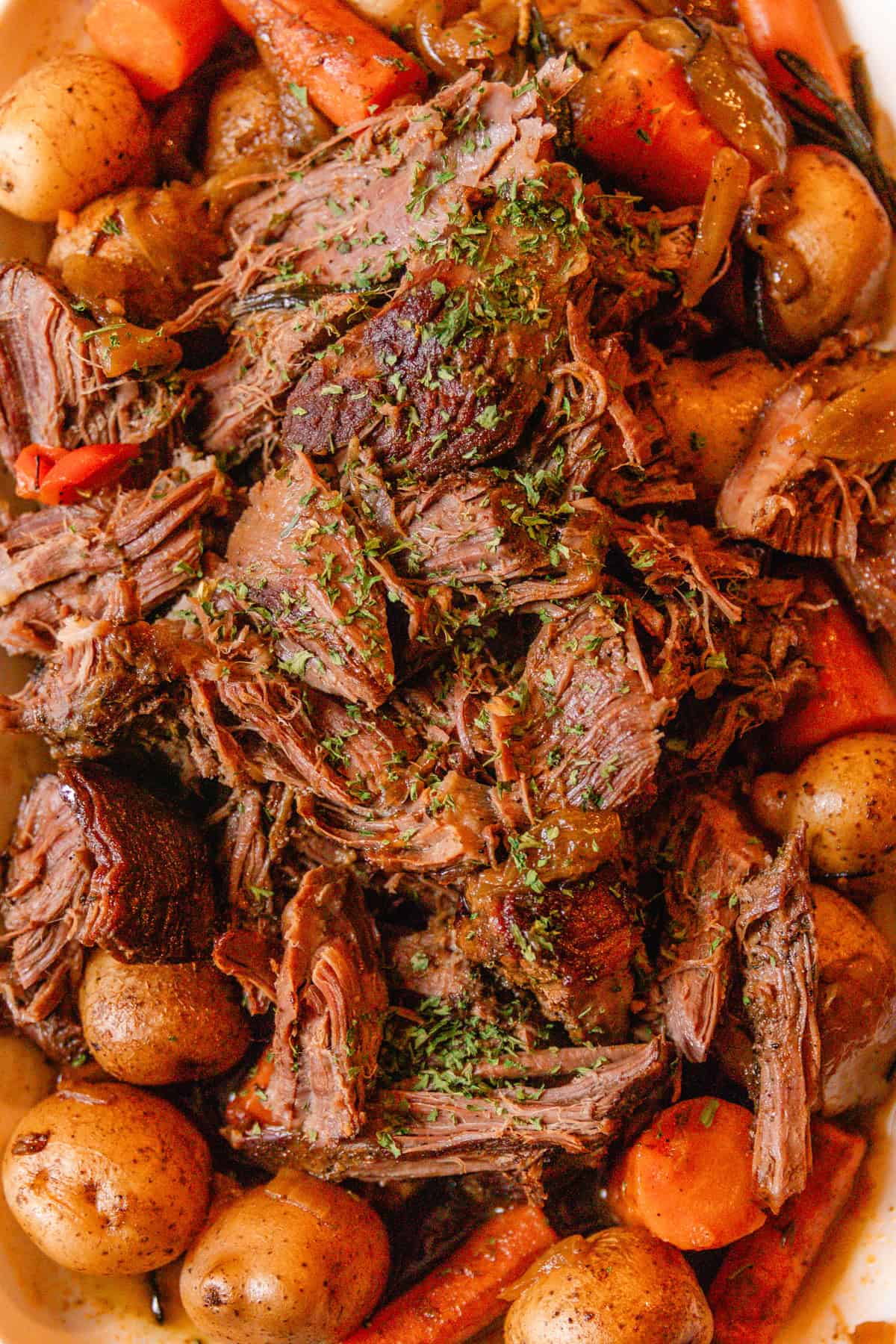 Shredded slow cooker venison roast with fresh parsley garnish.