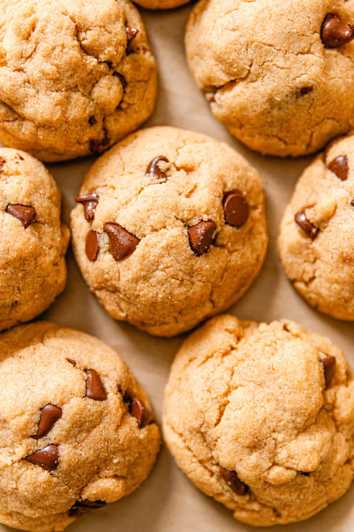 Whole grain chocolate chip cookies clustered together on parchment paper.