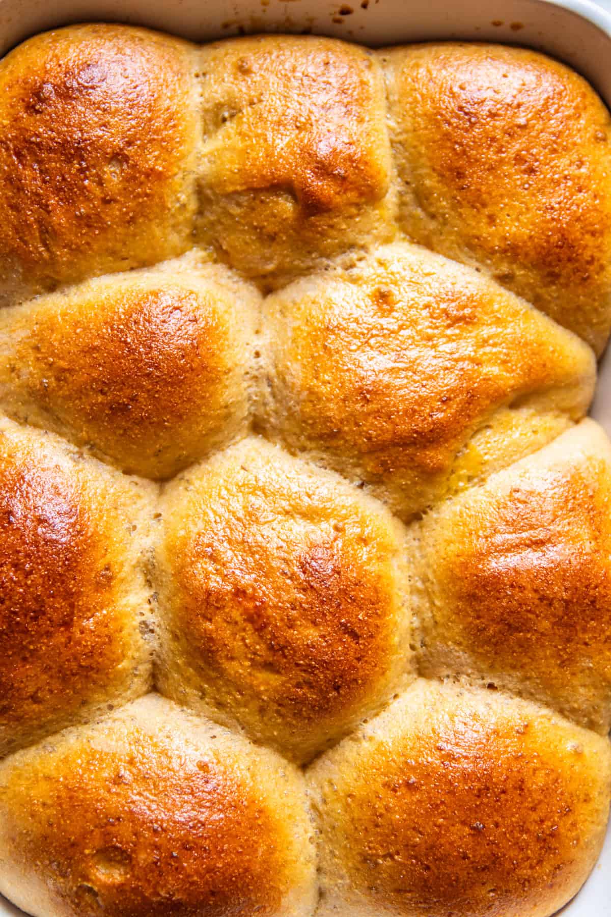 Perfectly baked whole grain dinner rolls with glistening golden tops.