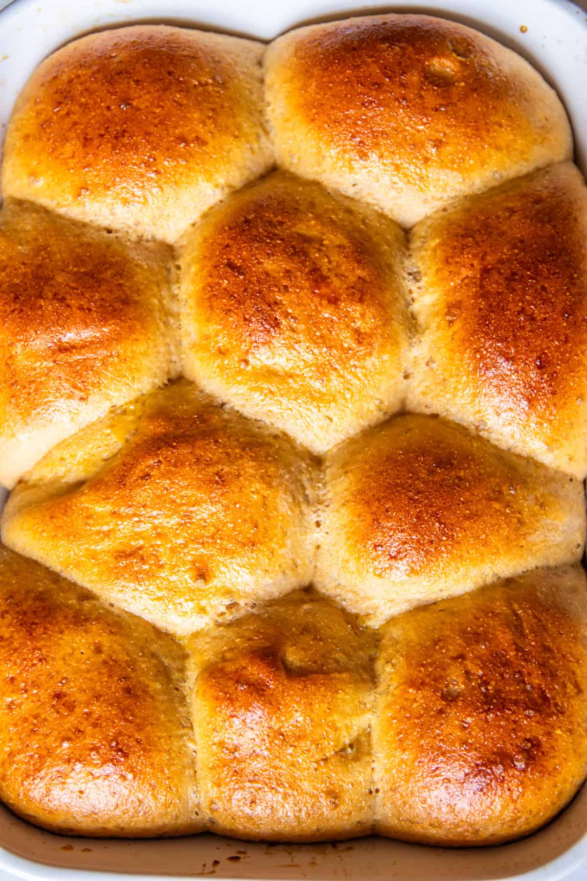 Freshly baked whole grain rolls resting in a white staub baking pan.