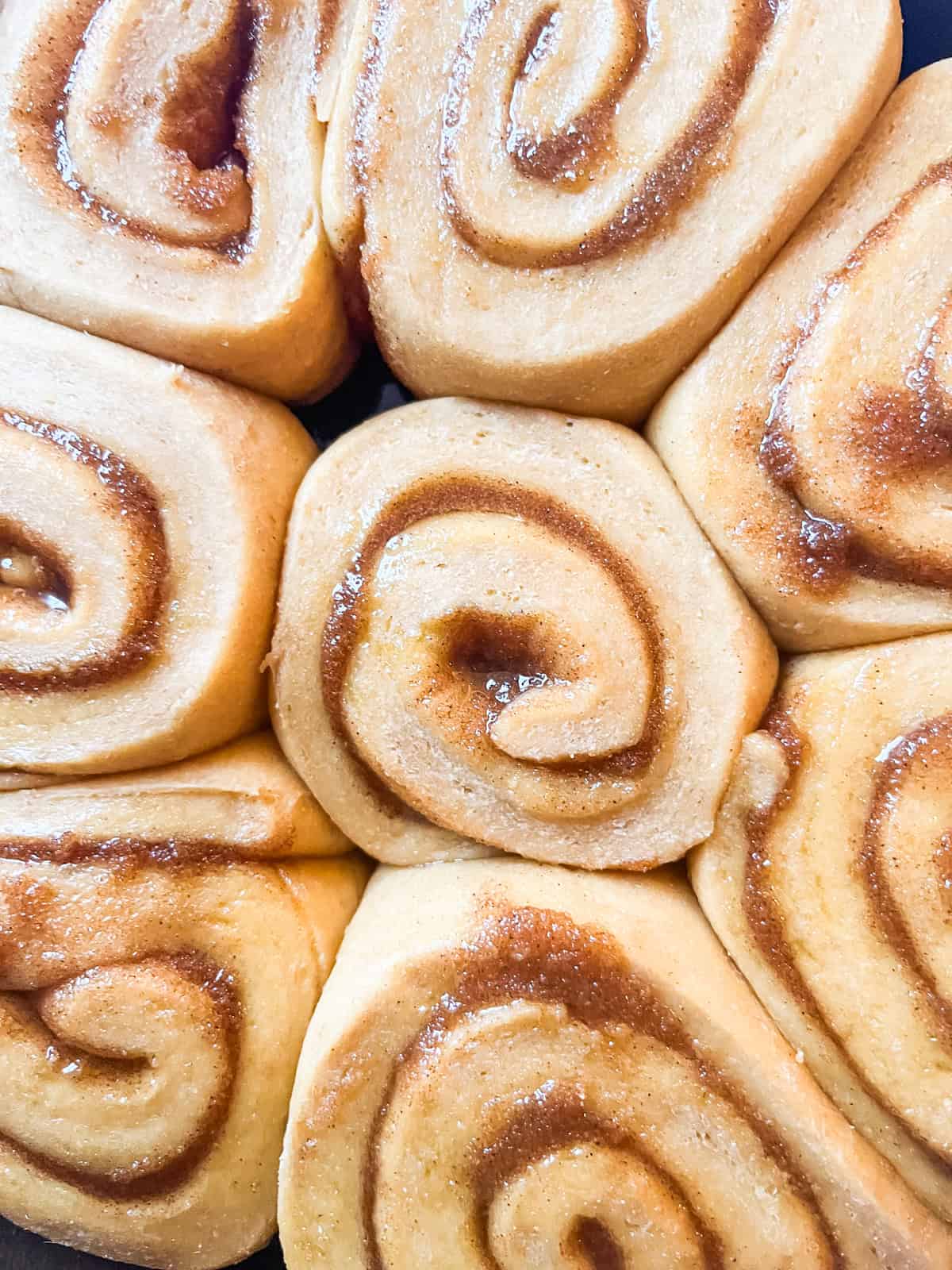 Unbaked cinnamon rolls, puffy from proofing.