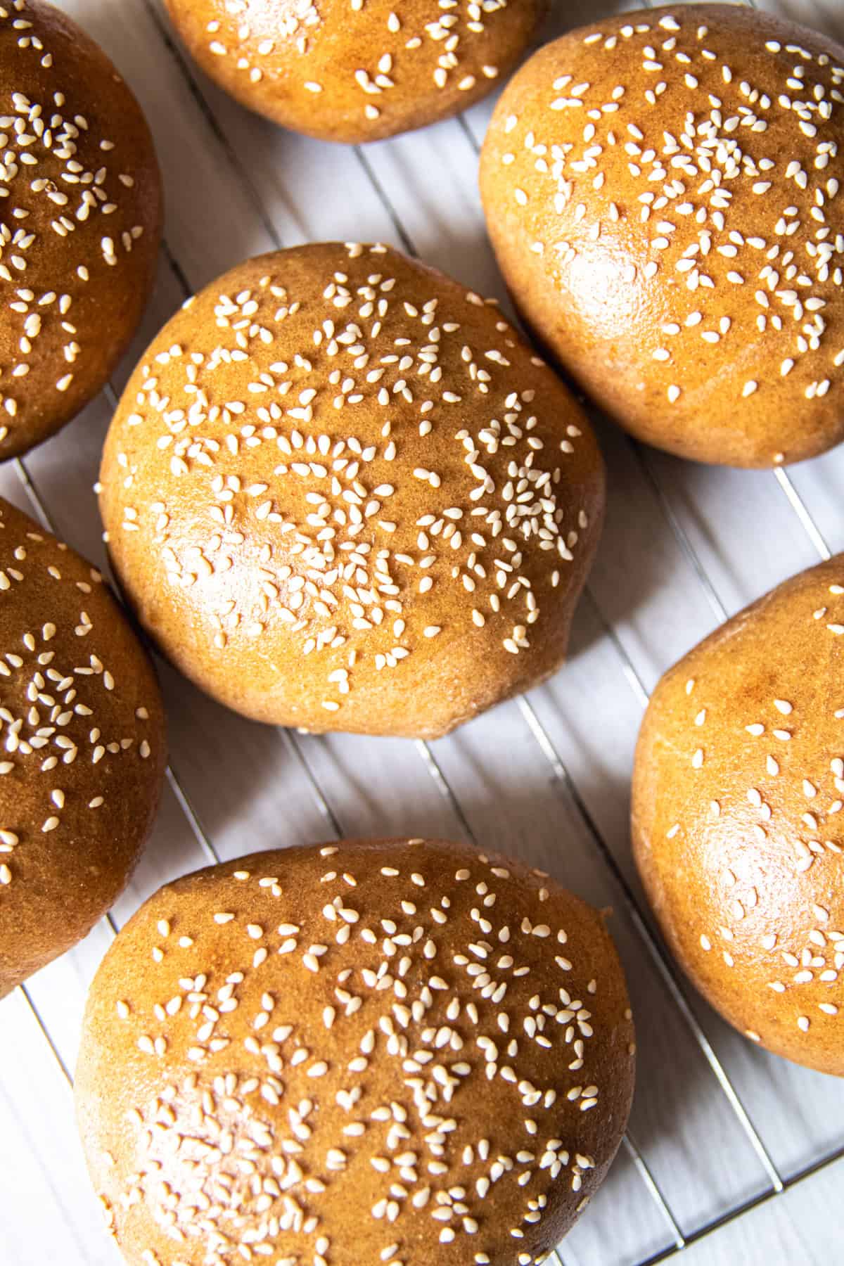 Whole grain buns freshly baked on a cooling rack.