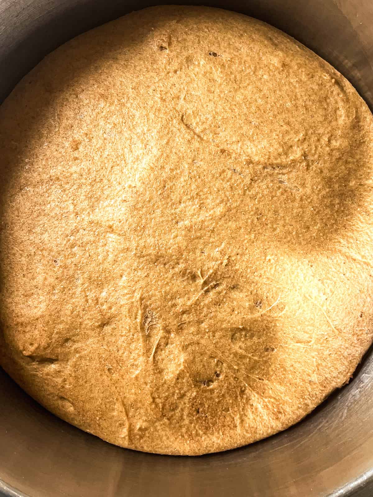 Whole grain bun dough puffy and risen in a mixing bowl.