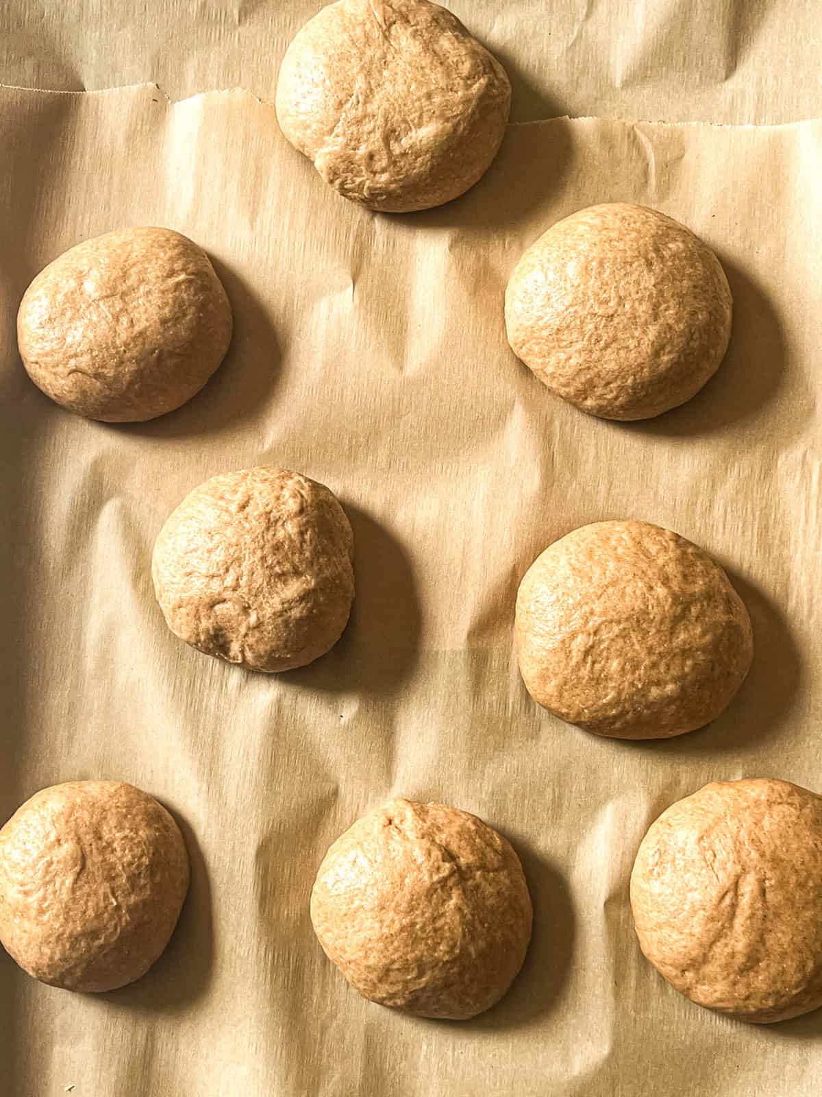 Whole grain bun dough in small balls, spread out on a baking sheet.