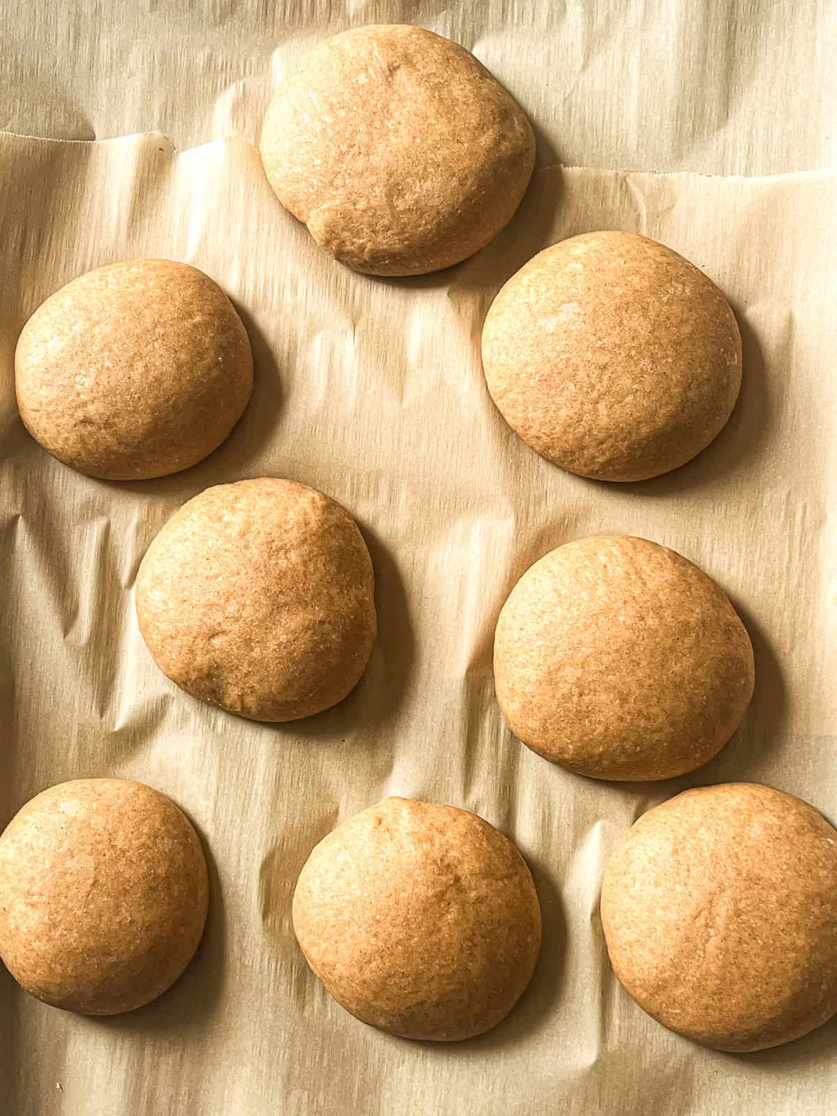 Whole grain bun dough balls risen and puffy on a baking sheet.