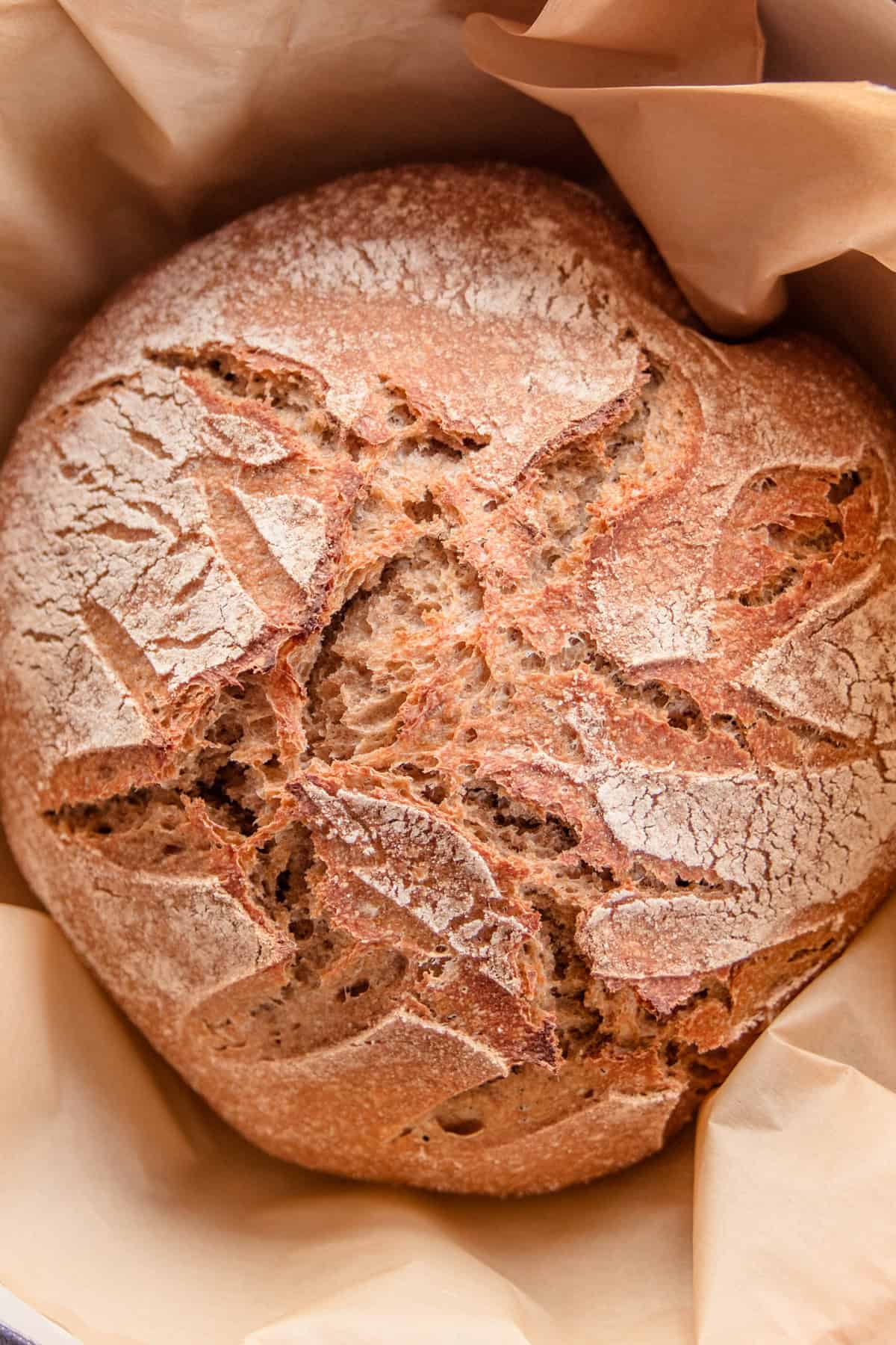 Whole grain artisan bread loaf in a dutch oven lined with parchment paper.