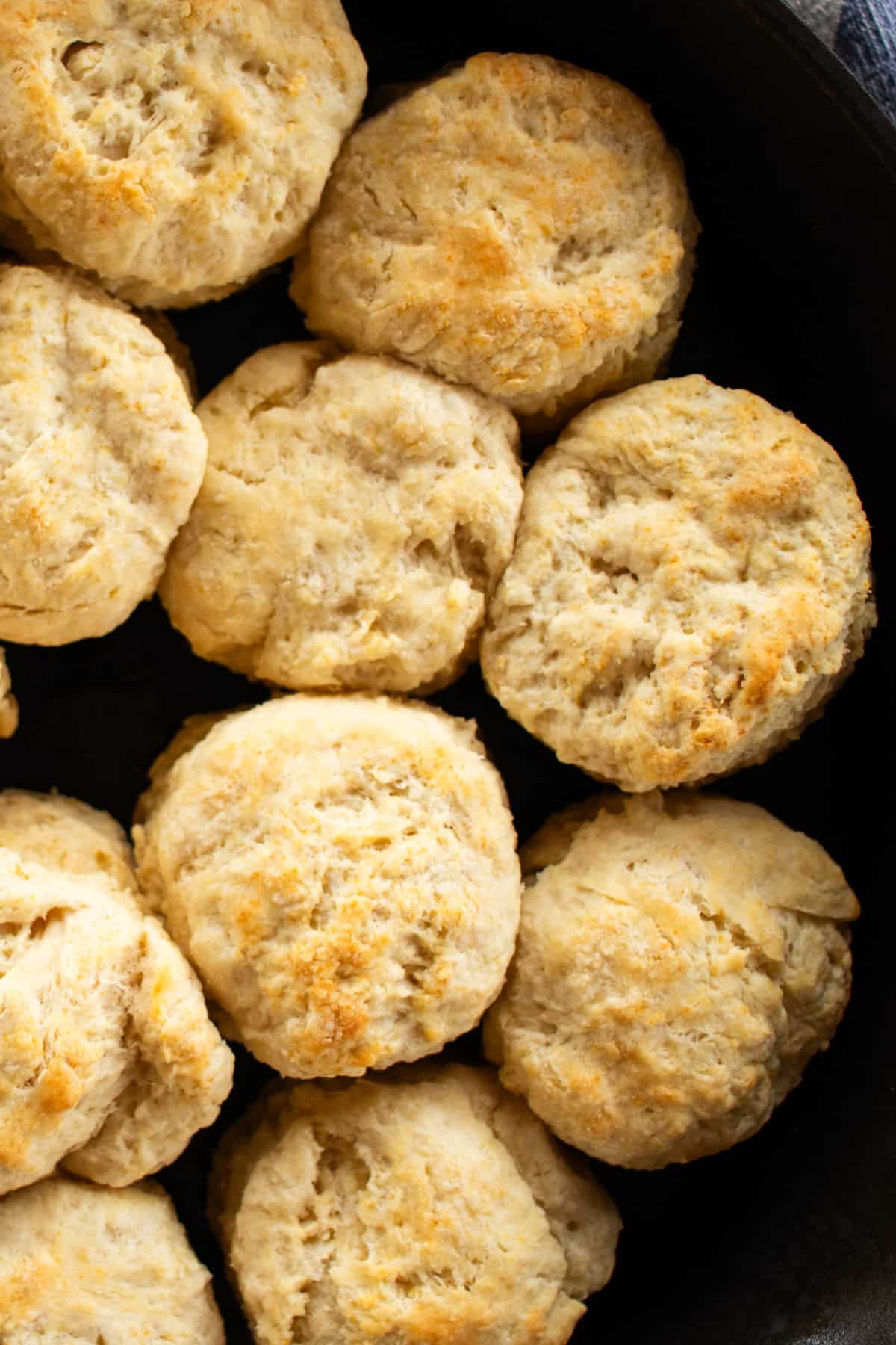 Golden brown Cast Iron Biscuits nestled in a cast iron skillet.