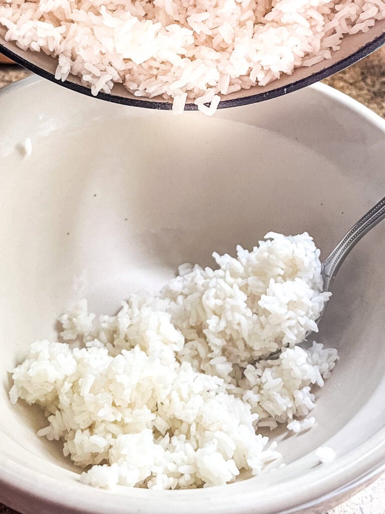 Curated visual reference: Visual Reference: Dutch Oven Rice