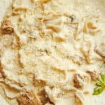 A plate of chicken alfredo with a sprig of herb garnish.
