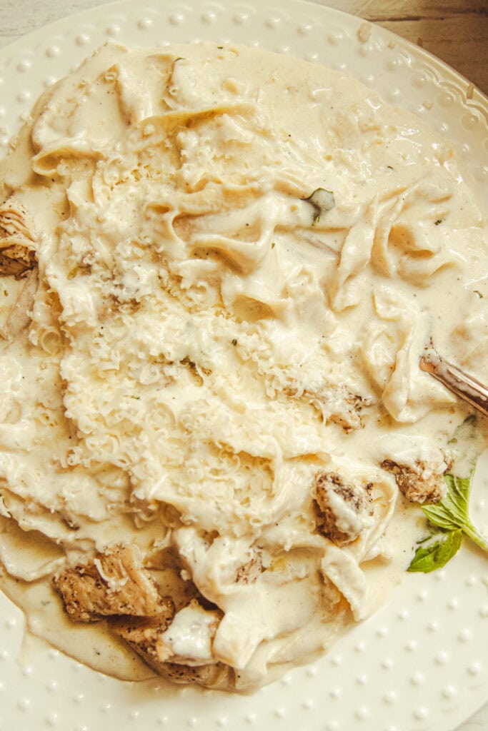 A white plate with one pan chicken alfredo and a sprig of garnish.