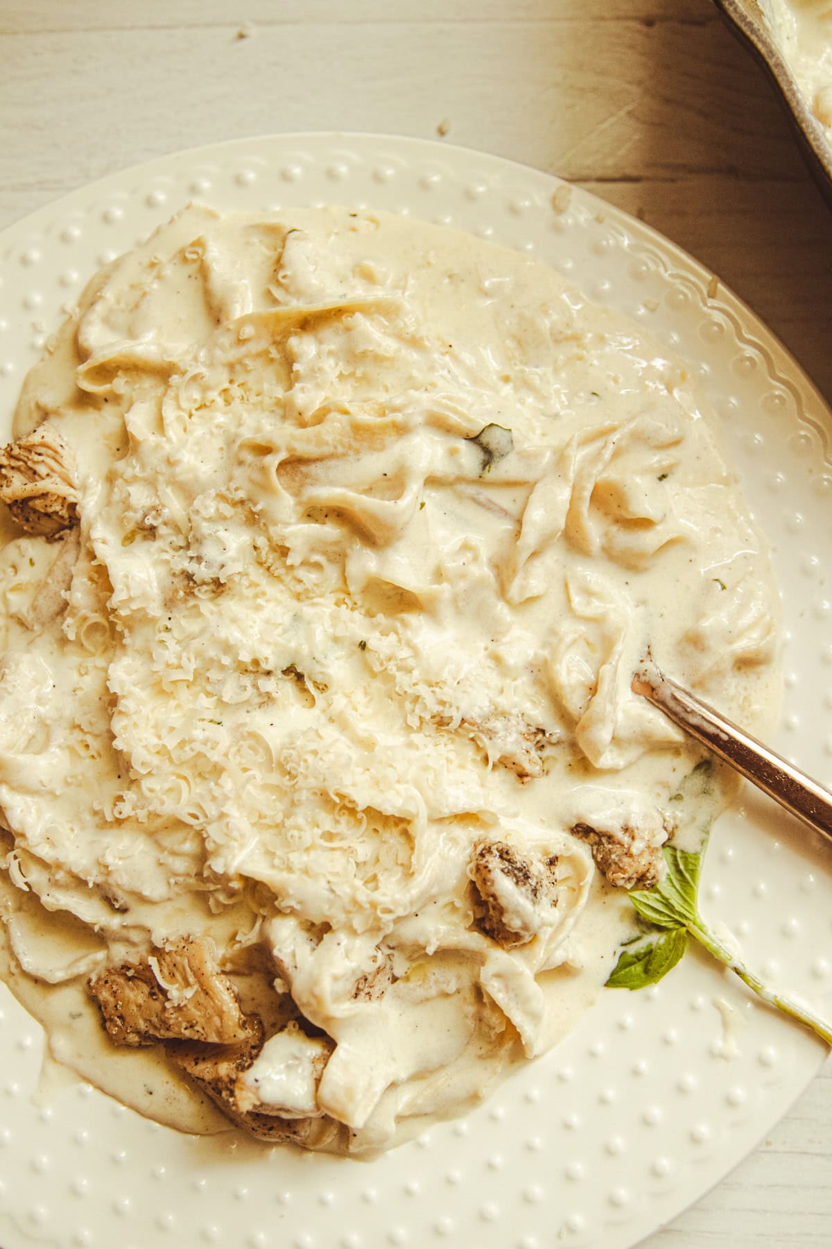 A white plate with chicken alfredo on it and a sprig of herbs.