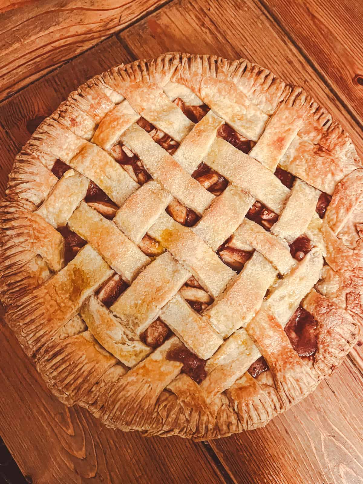 A lattice-covered pie made with whole wheat pie dough.