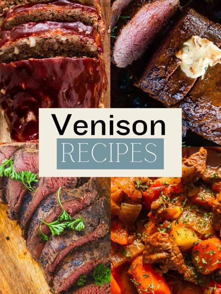 Collage of four different venison dishes.
