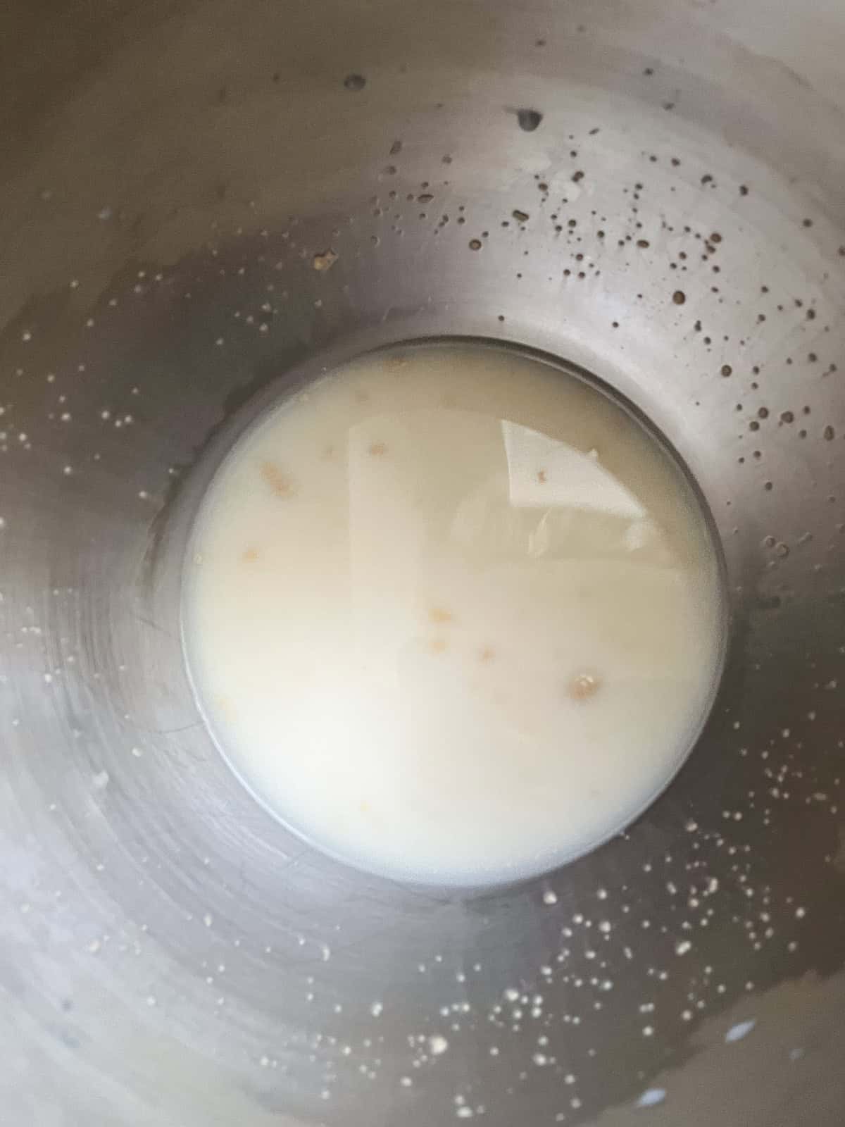 Yeast in a bowl with the liquid ingredients.