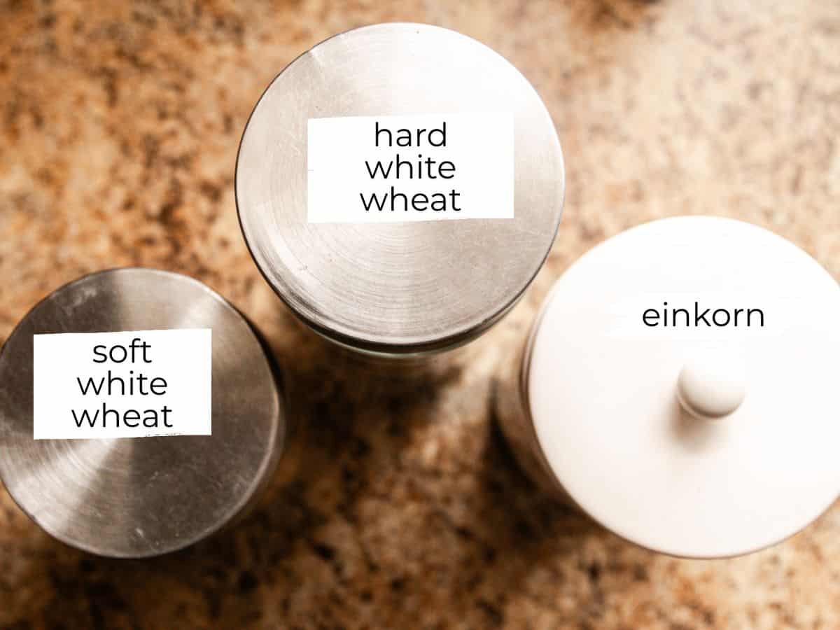 Canisters of grains with the varieties labeled.