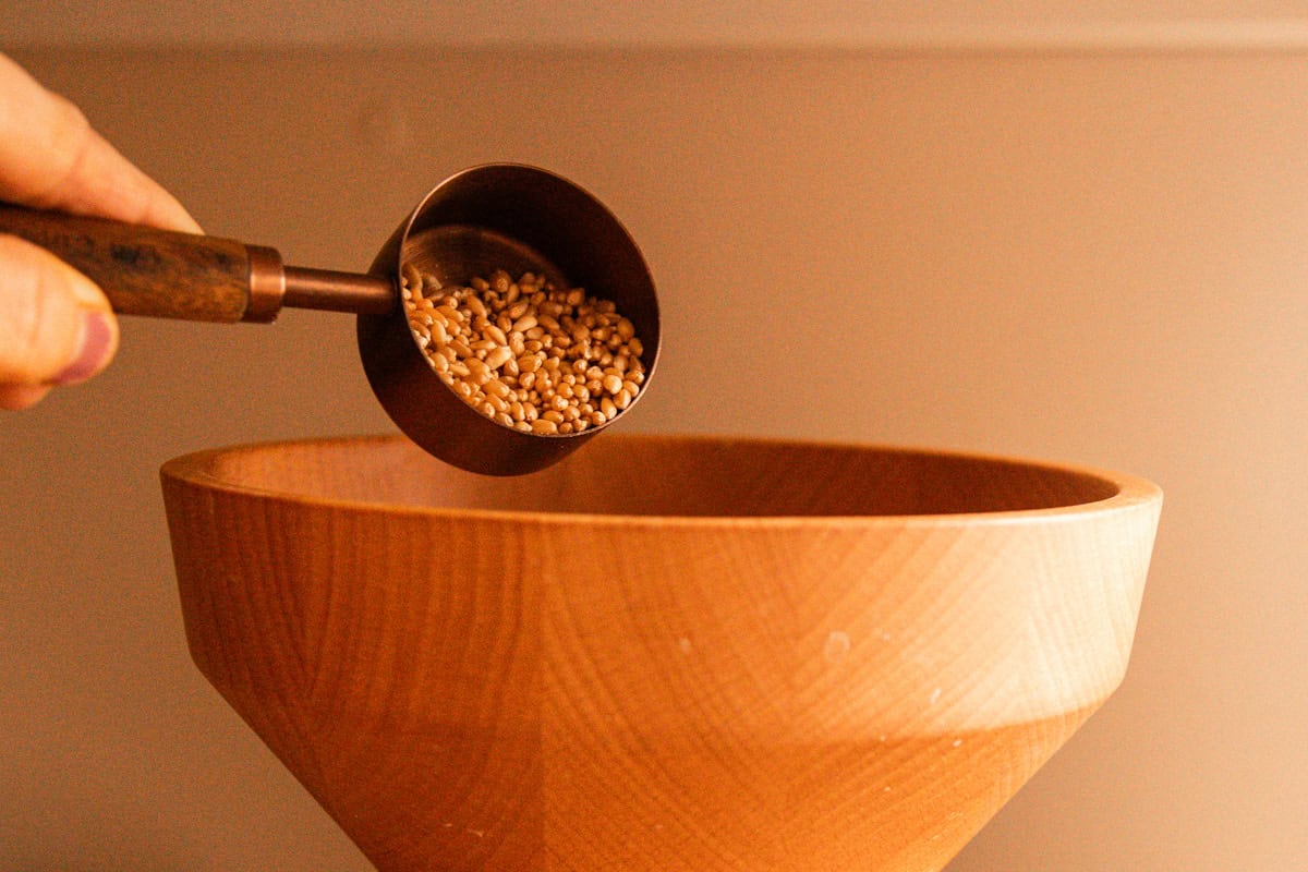 Pouring a cup of wheat berries into the hopper of a grain mill.