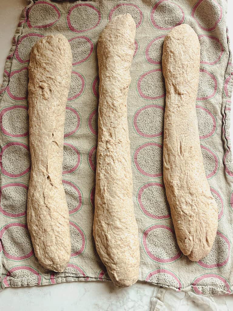Baguettes shaped and rising on a towel.