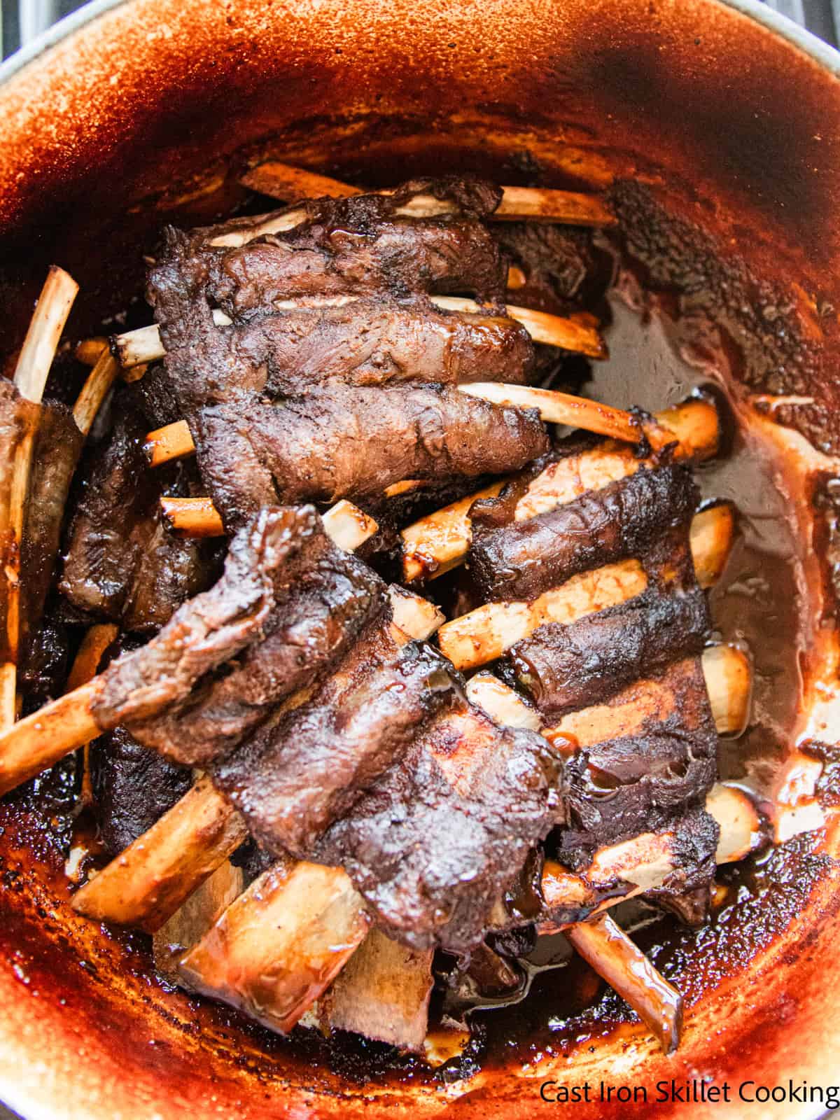Braised venison ribs in an enameled dutch oven.