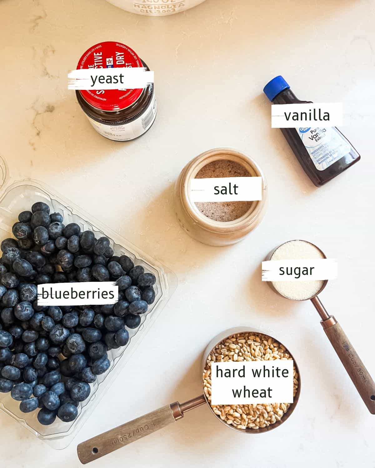Freshly milled blueberry bagel ingredients labeled on a white counter.