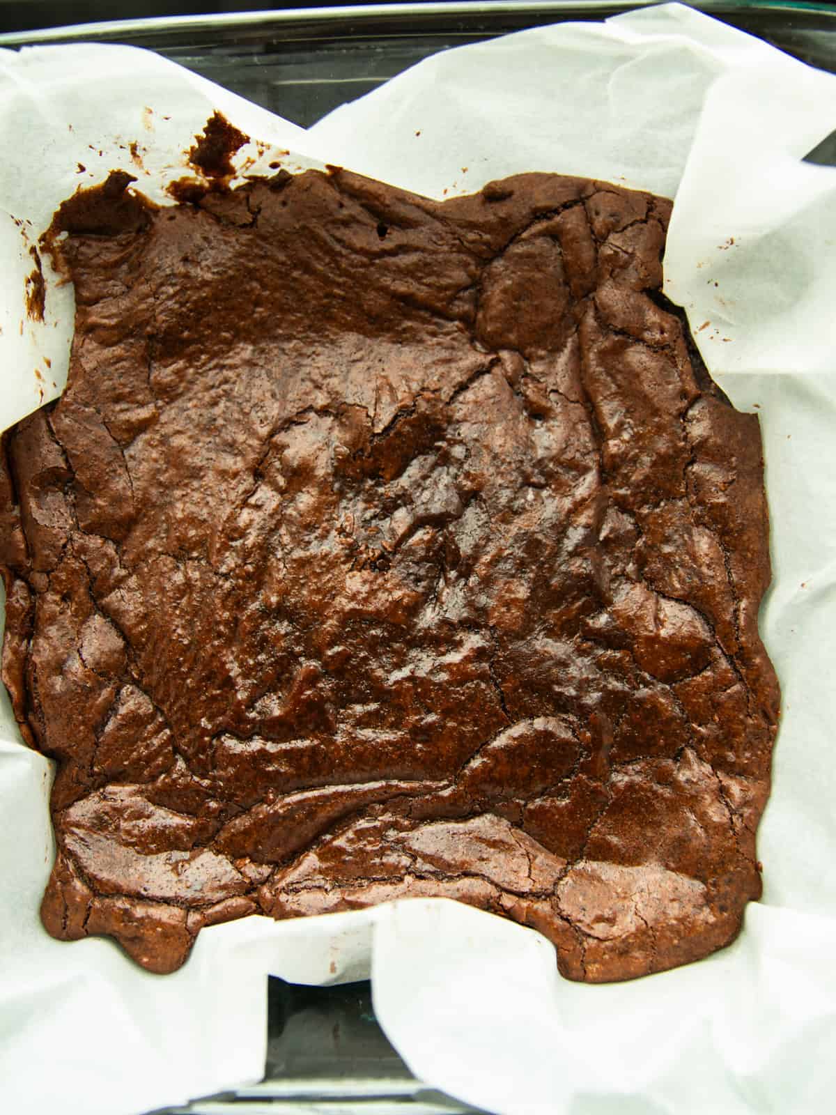 Fresh milled brownies in a parchment paper-lined baking dish after baking.