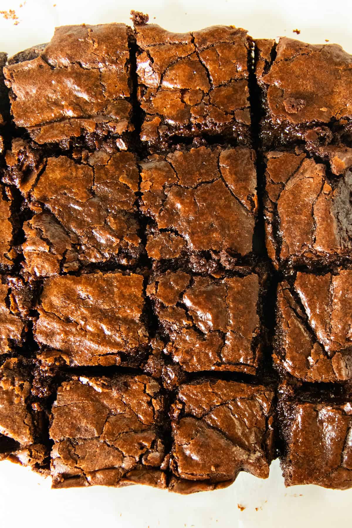 Looking down on a tray of brownies cut into squares.