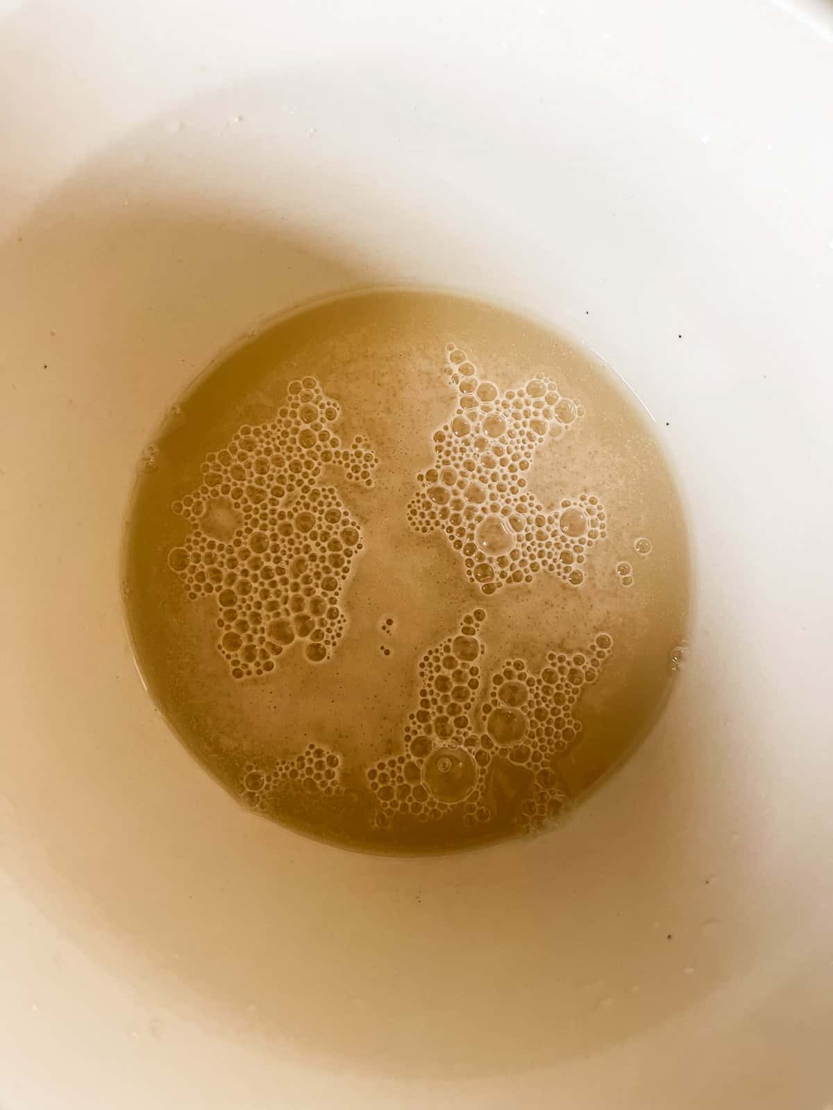 Blooming yeast in a bowl.