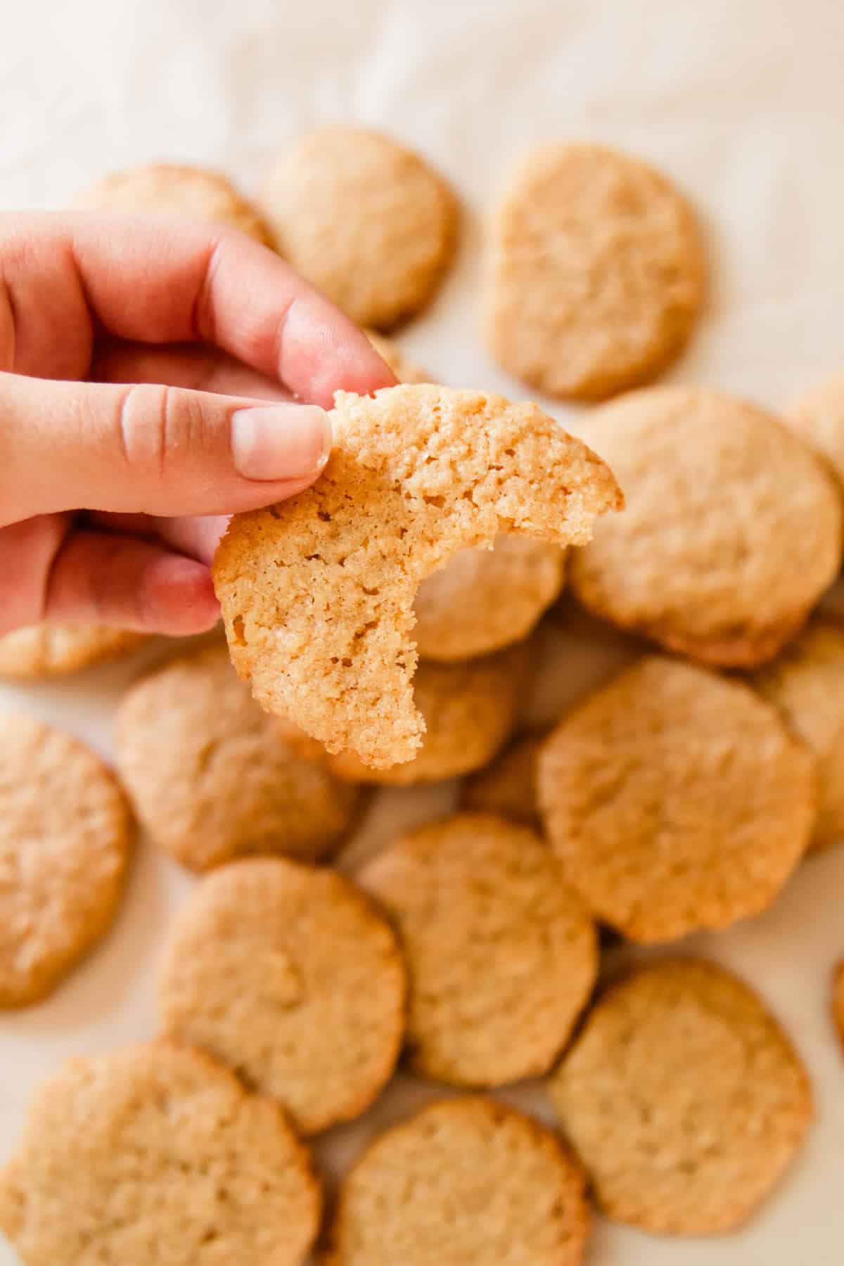 A fresh milled vanilla wafer with a bite taken out of it, with more wafers in the background.