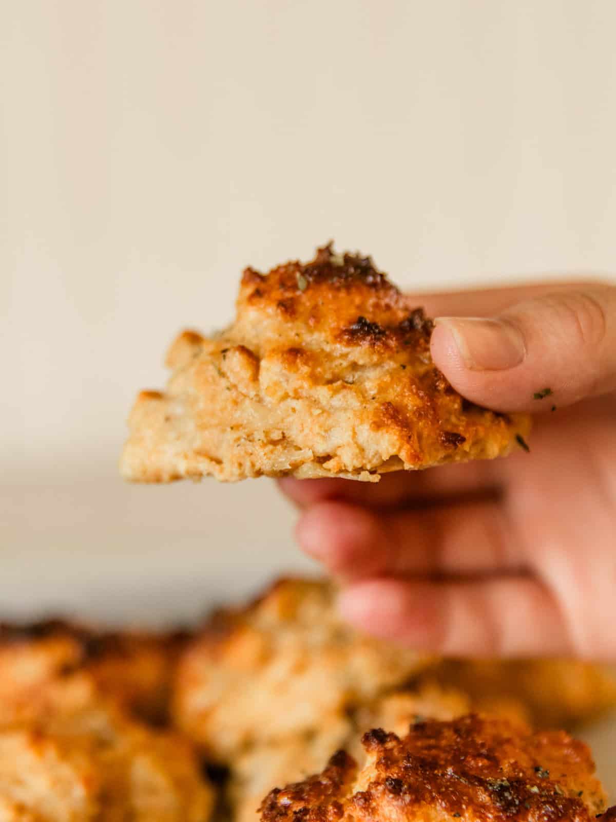 Holding up a cheddar biscuit with freshly milled flour.