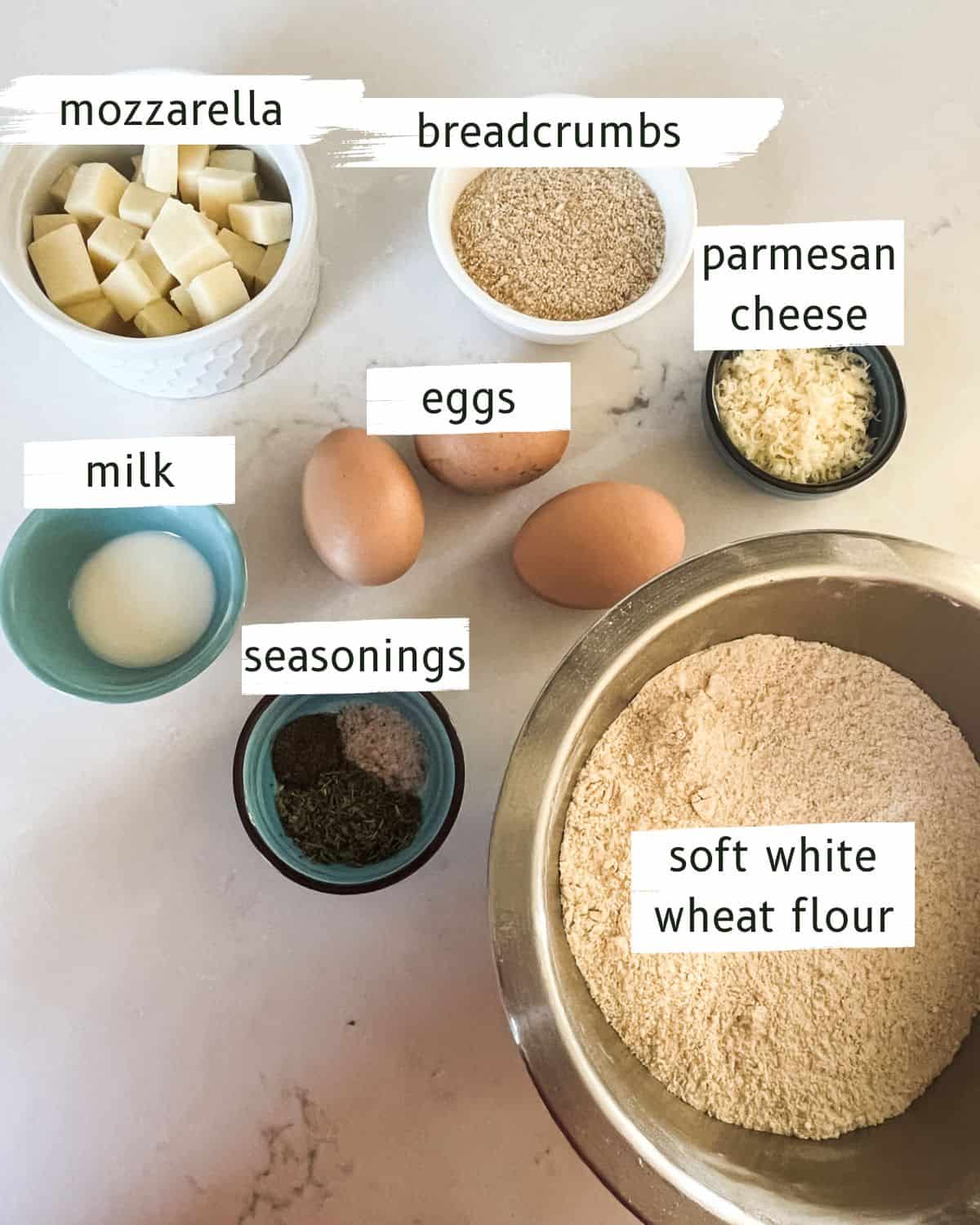 Ingredients for fresh milled mozzarella cheese balls, assembled and labeled.