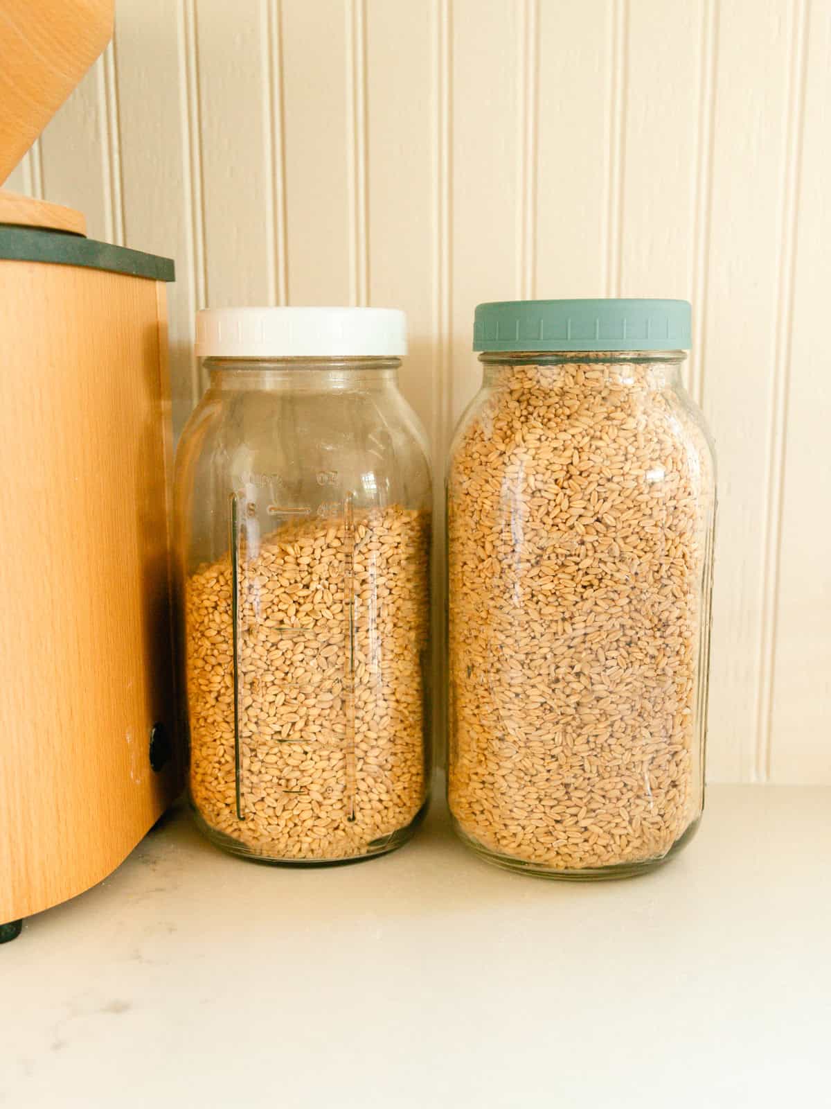 Two jars of whole grains next to a grain mill.