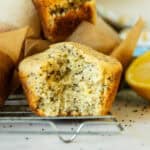 A freshly milled lemon poppyseed muffin with a bite taken out of it.