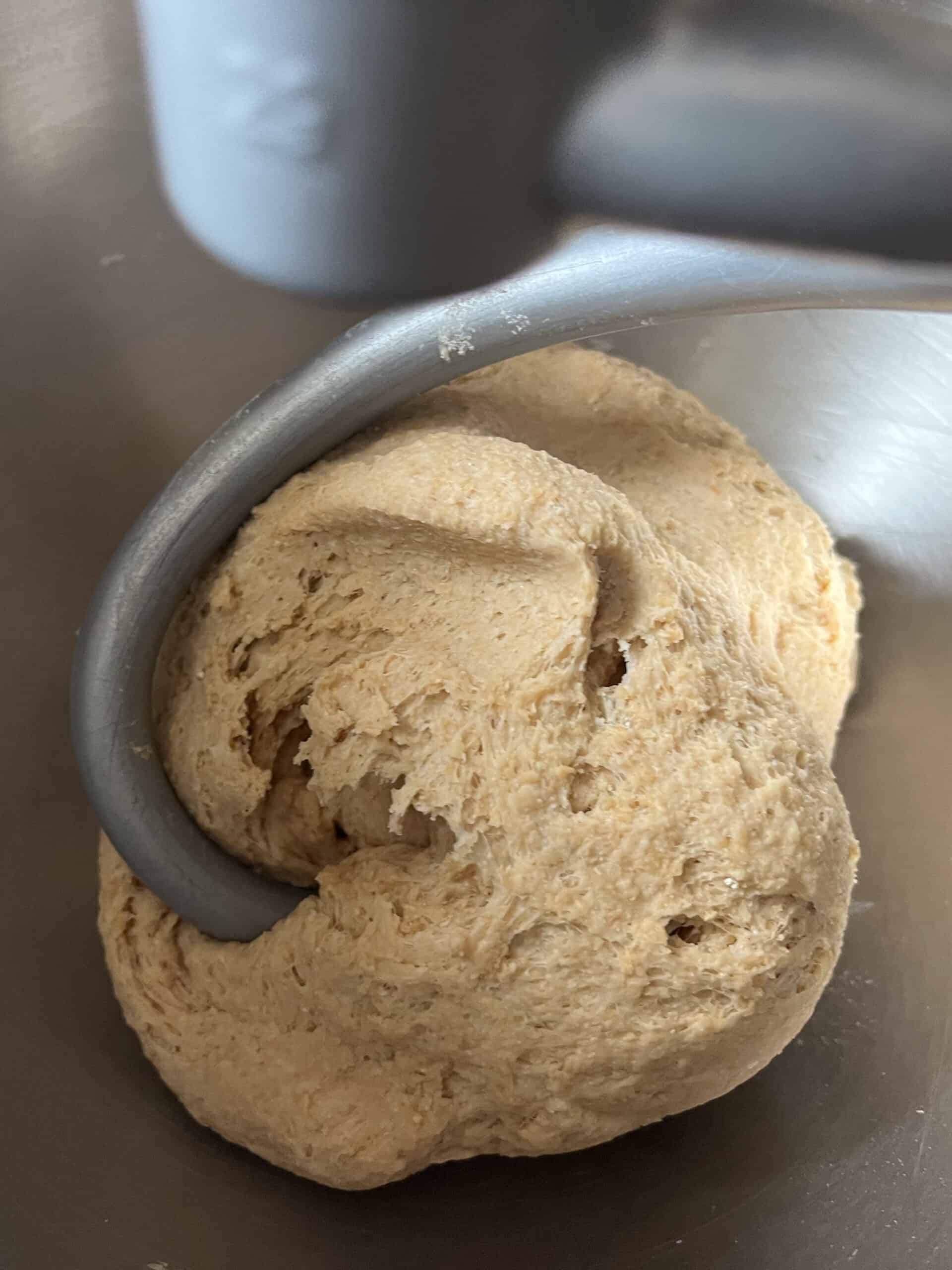 Kneading whole wheat cranberry bagel dough in a stand mixer.