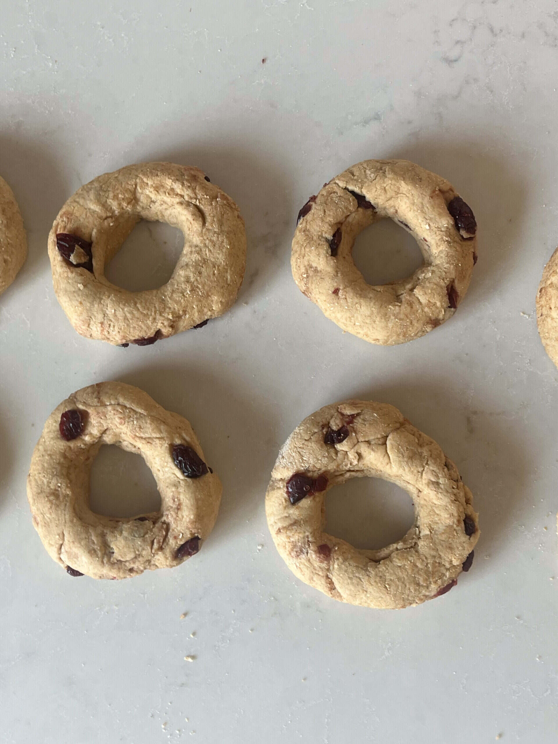 Uncooked bagel dough shaped into bagel shapes.